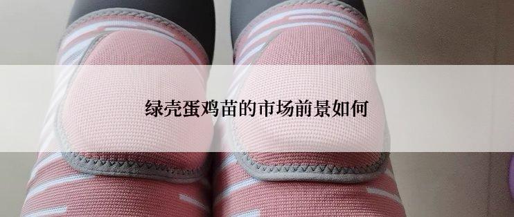 绿壳蛋鸡苗的市场前景如何