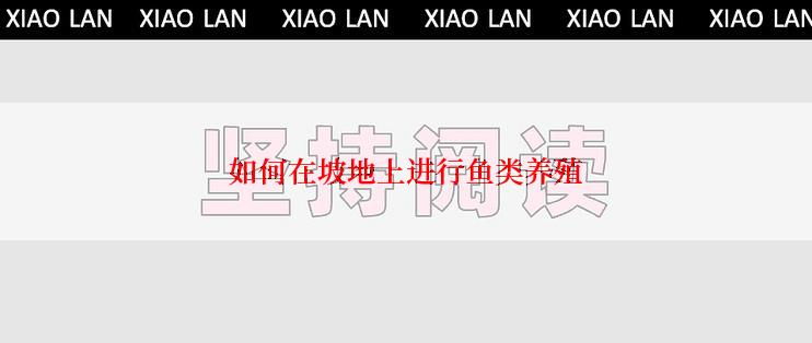 如何在坡地上进行鱼类养殖