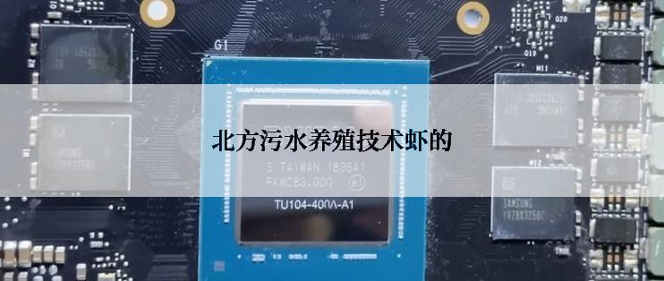 北方污水养殖技术虾的