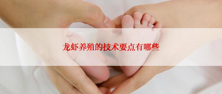 龙虾养殖的技术要点有哪些