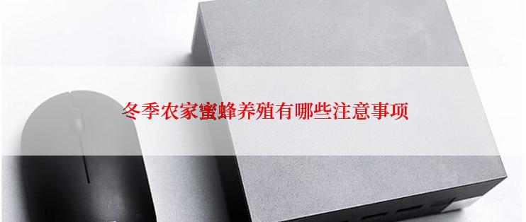  冬季农家蜜蜂养殖有哪些注意事项