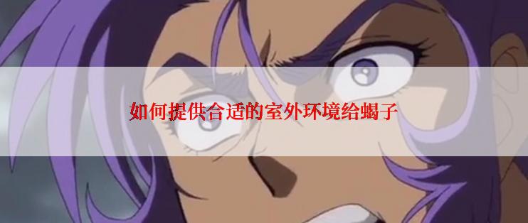 如何提供合适的室外环境给蝎子