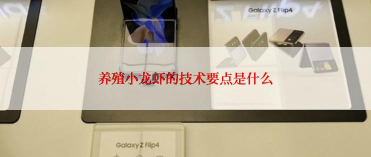 养殖小龙虾的技术要点是什么