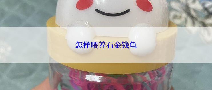 怎样喂养石金钱龟
