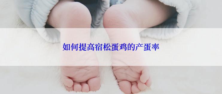 如何提高宿松蛋鸡的产蛋率