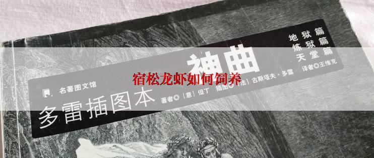 宿松龙虾如何饲养