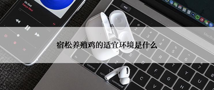宿松养殖鸡的适宜环境是什么