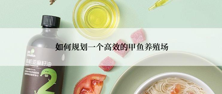  如何规划一个高效的甲鱼养殖场