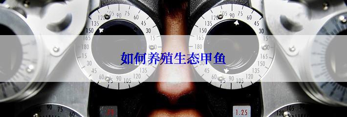 如何养殖生态甲鱼