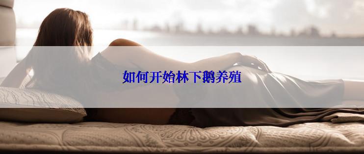 如何开始林下鹅养殖