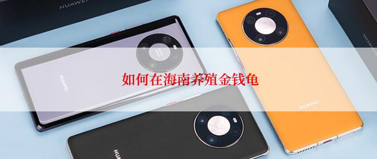 如何在海南养殖金钱龟