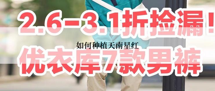 如何种植天南星红