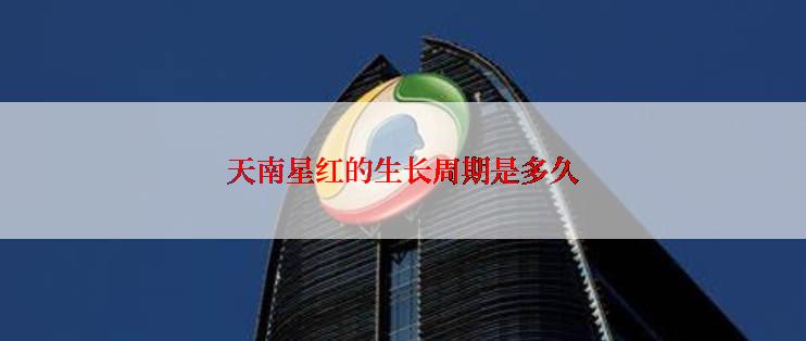 天南星红的生长周期是多久