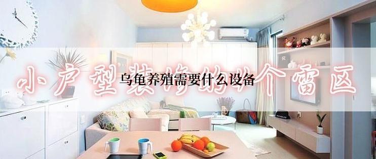 乌龟养殖需要什么设备