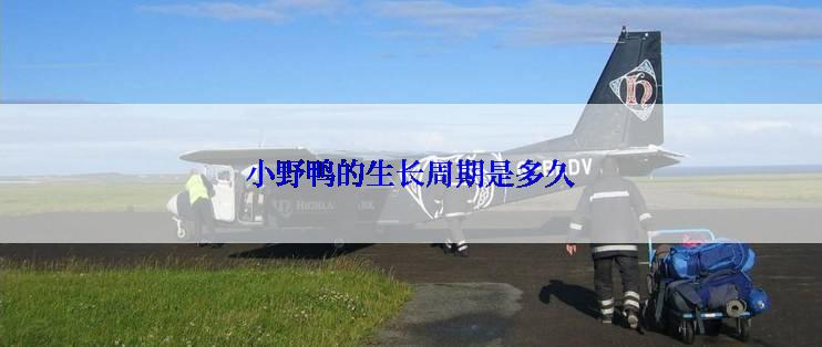 小野鸭的生长周期是多久