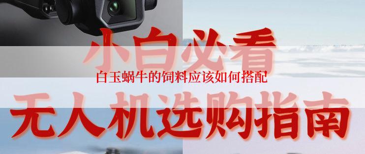 白玉蜗牛的饲料应该如何搭配