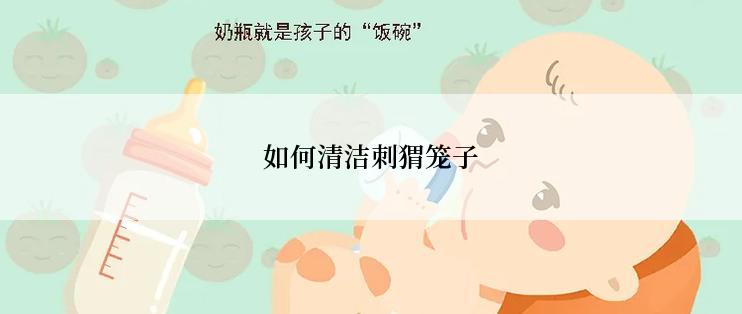 如何清洁刺猬笼子
