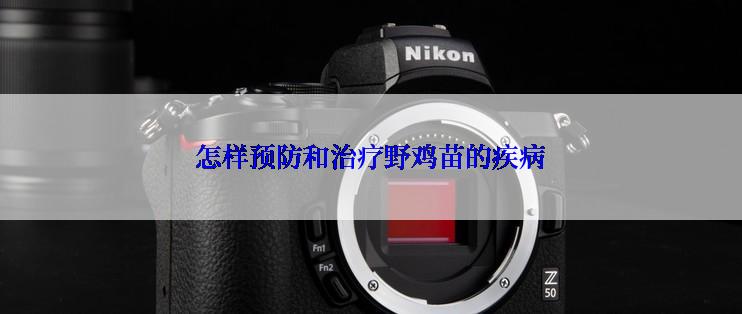 怎样预防和治疗野鸡苗的疾病