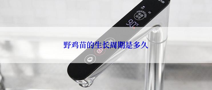 野鸡苗的生长周期是多久