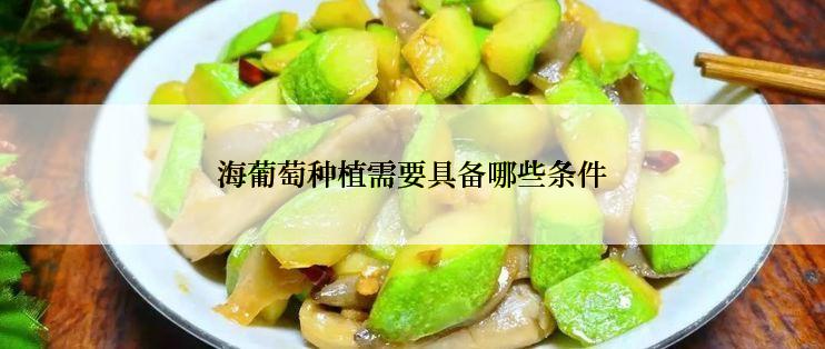 海葡萄种植需要具备哪些条件