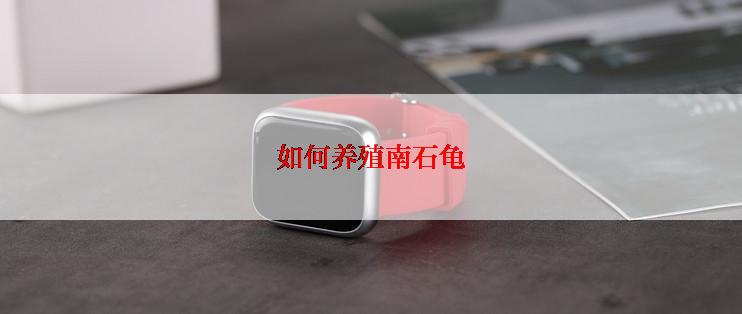 如何养殖南石龟