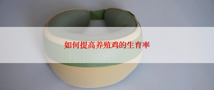 如何提高养殖鸡的生育率