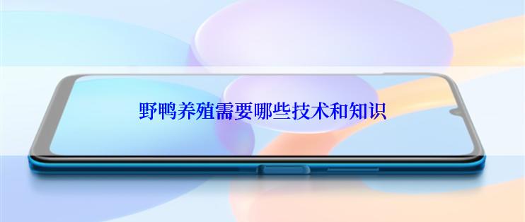 野鸭养殖需要哪些技术和知识
