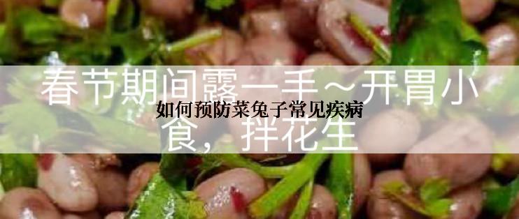 如何预防菜兔子常见疾病