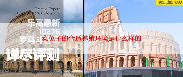 菜兔子的合适养殖环境是什么样的