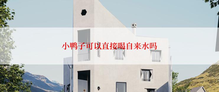 小鸭子可以直接喝自来水吗
