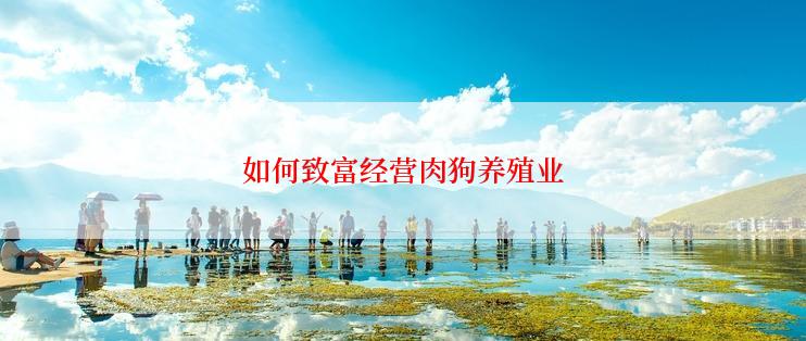 如何致富经营肉狗养殖业