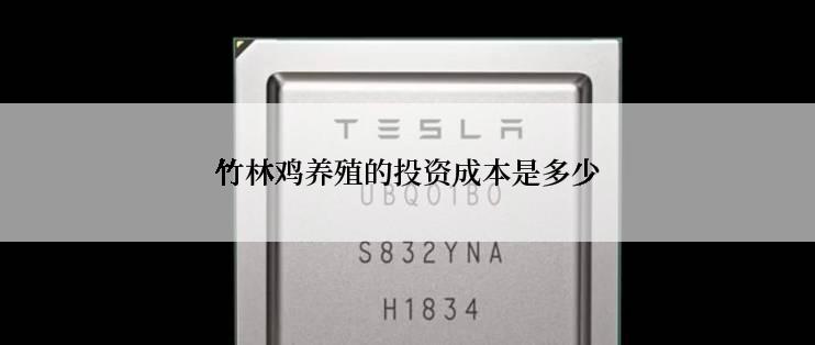竹林鸡养殖的投资成本是多少