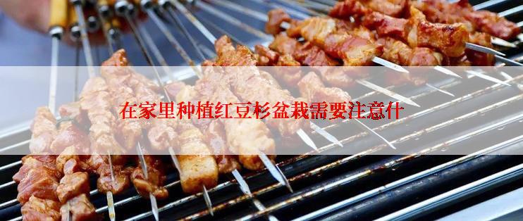 在家里种植红豆杉盆栽需要注意什