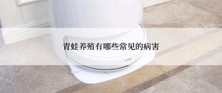 青蛙养殖有哪些常见的病害