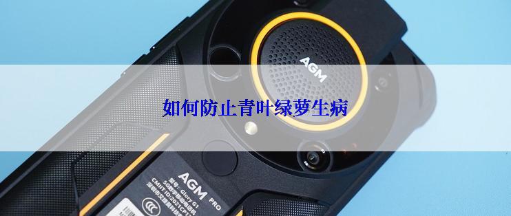 如何防止青叶绿萝生病