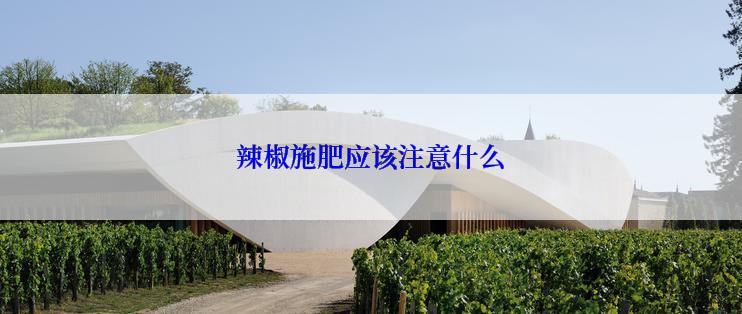 辣椒施肥应该注意什么