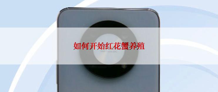 如何开始红花蟹养殖