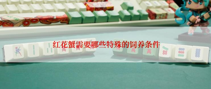 红花蟹需要哪些特殊的饲养条件