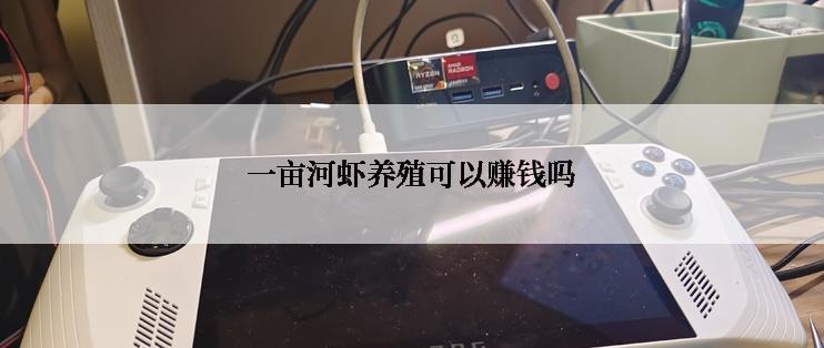 一亩河虾养殖可以赚钱吗