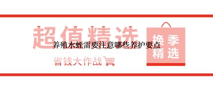 养殖水蛭需要注意哪些养护要点