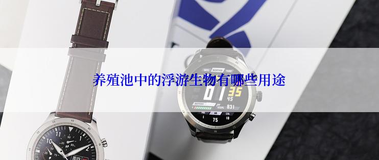 养殖池中的浮游生物有哪些用途