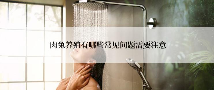  肉兔养殖有哪些常见问题需要注意