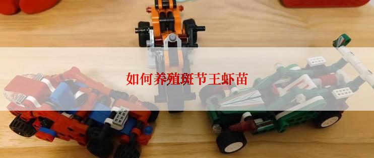 如何养殖斑节王虾苗