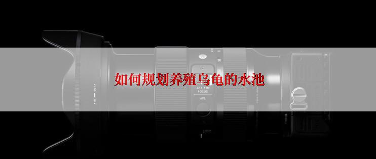  如何规划养殖乌龟的水池