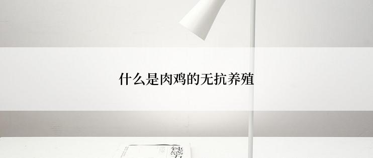 什么是肉鸡的无抗养殖