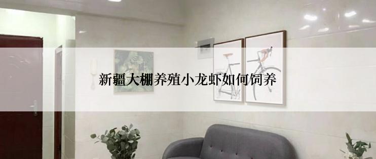 新疆大棚养殖小龙虾如何饲养