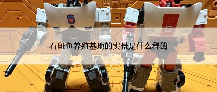 石斑鱼养殖基地的实景是什么样的