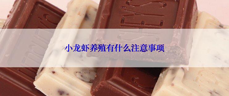 小龙虾养殖有什么注意事项