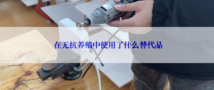  在无抗养殖中使用了什么替代品
