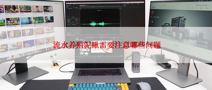  流水养殖泥鳅需要注意哪些问题